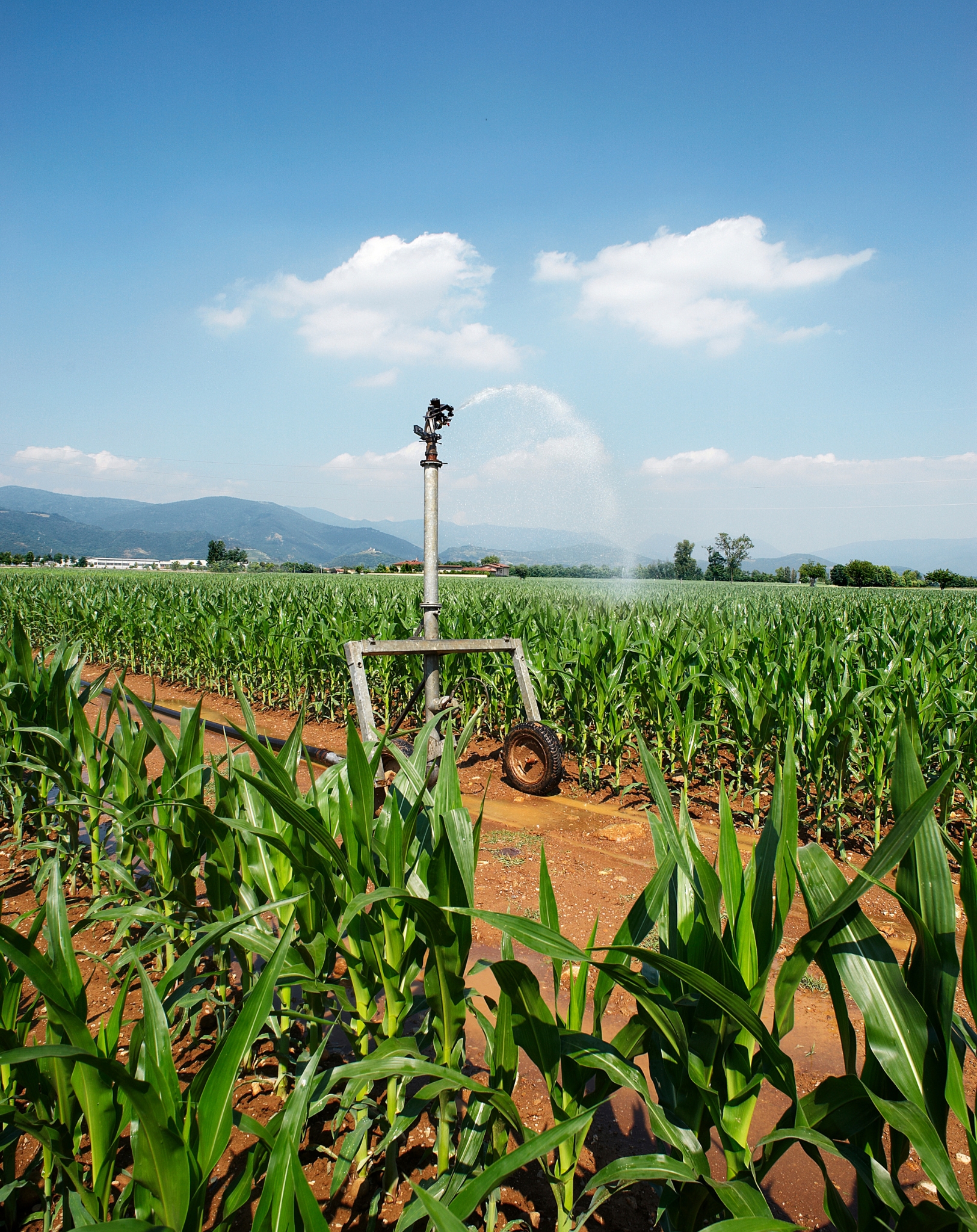 prodotti per agricoltura