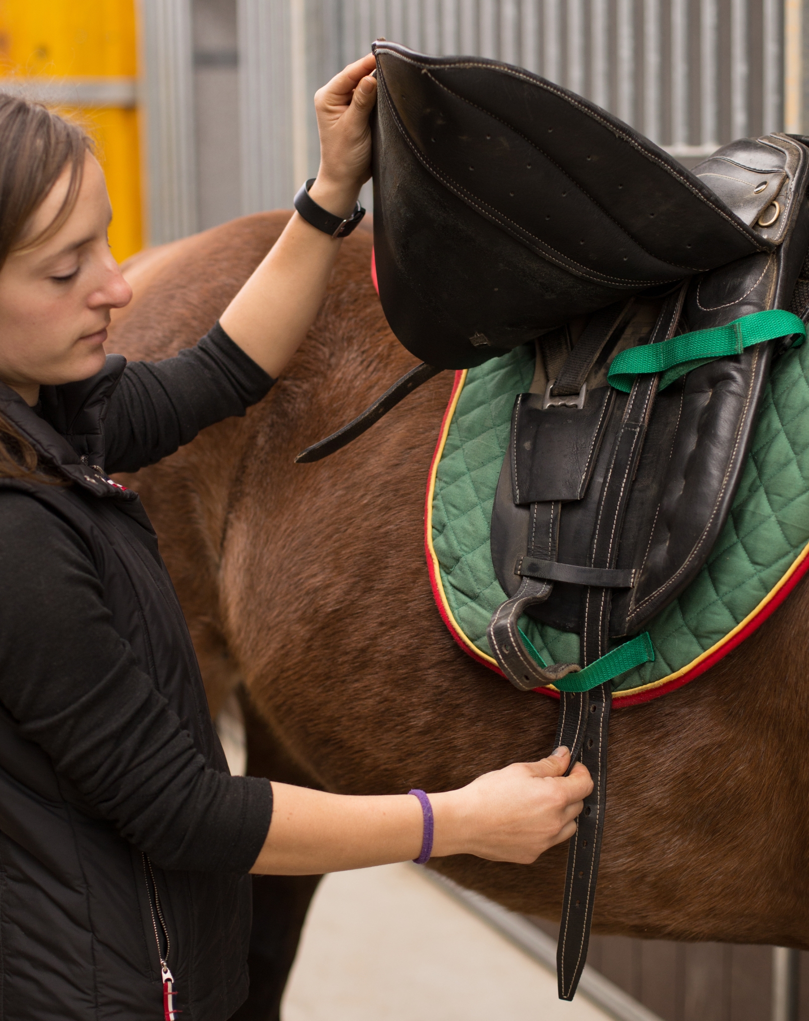 prodotti per l'equitazione