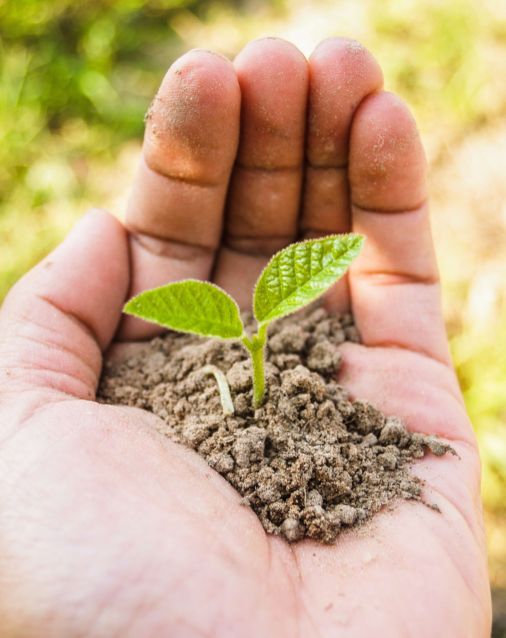 prodotti per agricoltura