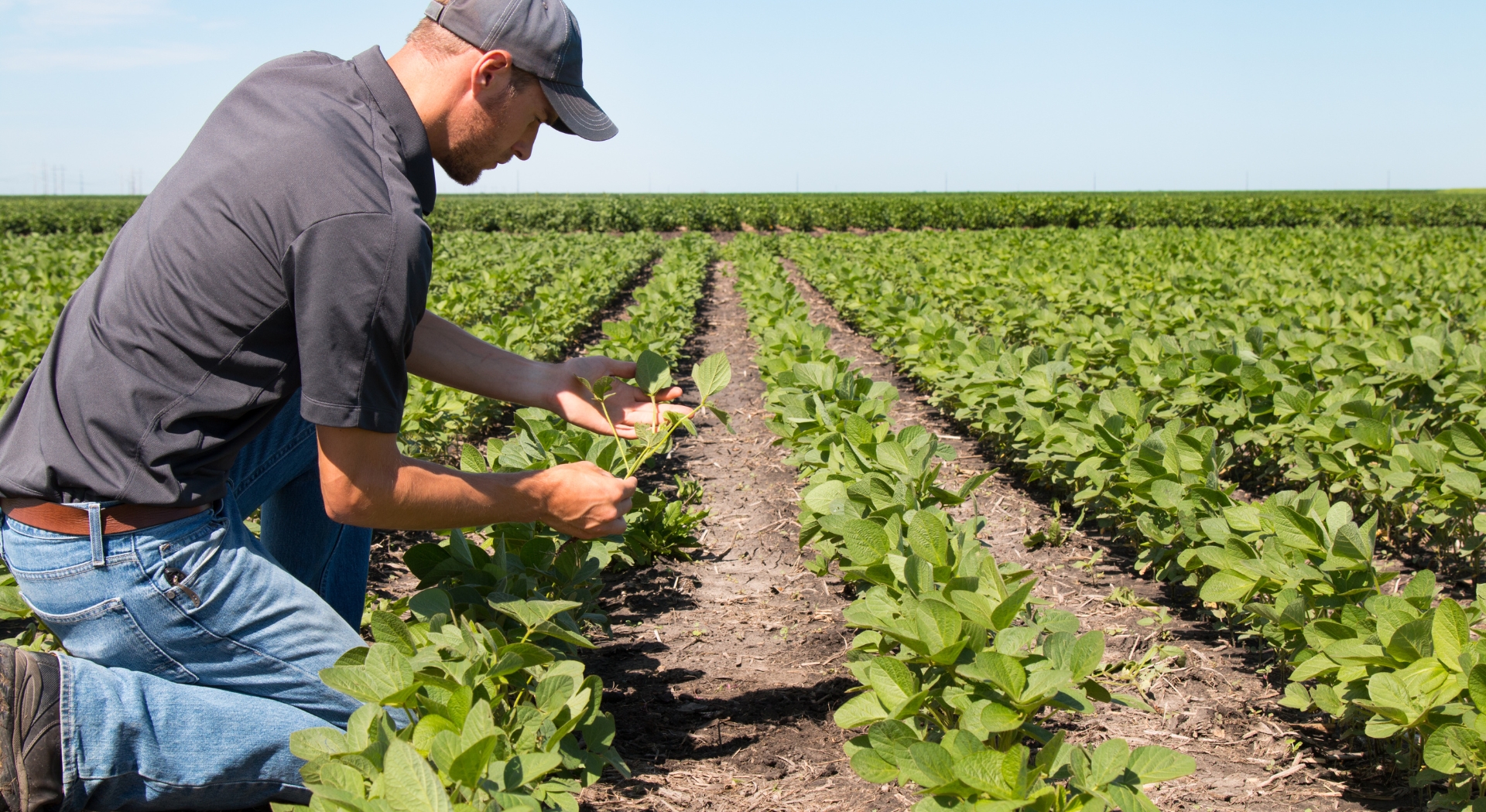 prodotti per agricoltura